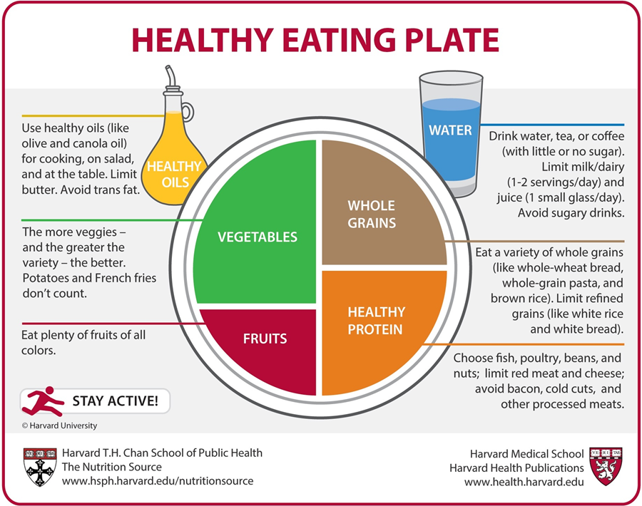 what-to-eat-before-physical-activity-nautilus-plus-nautilus-plus